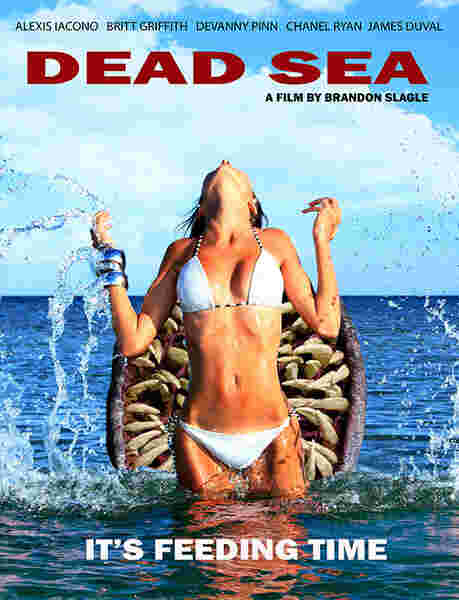 Dead Sea (2014) Screenshot 1