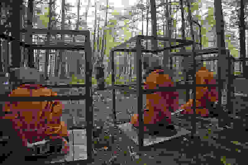 Territories (2010) Screenshot 5