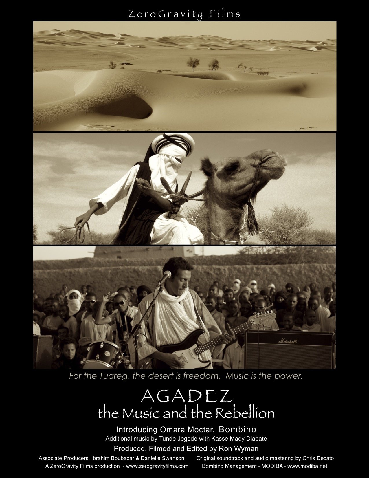 Agadez, the Music and the Rebellion (2010) Screenshot 3 