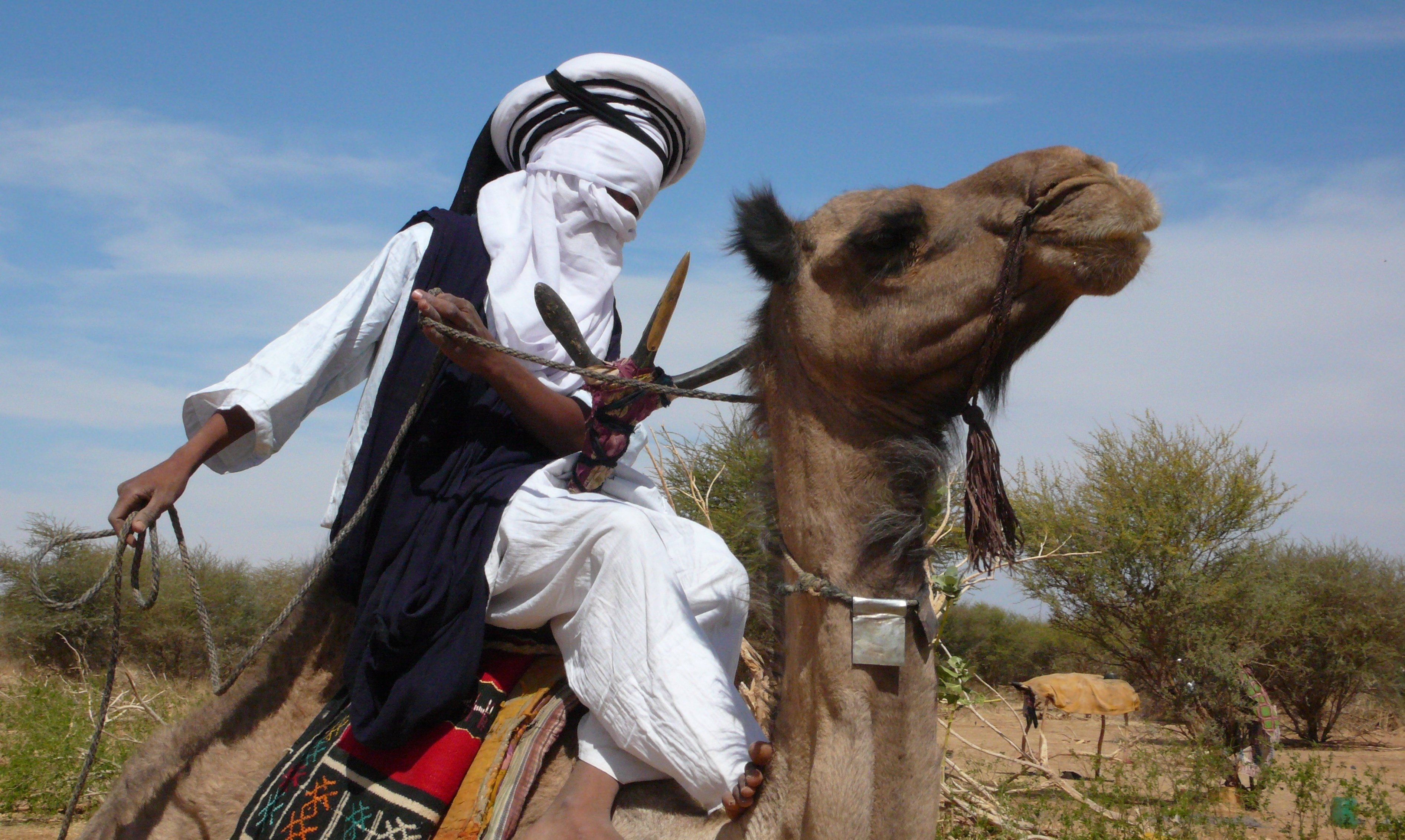 Agadez, the Music and the Rebellion (2010) Screenshot 4