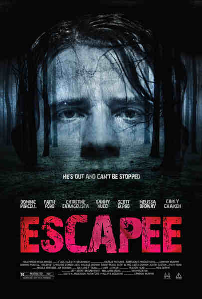 Escapee (2011) Screenshot 1