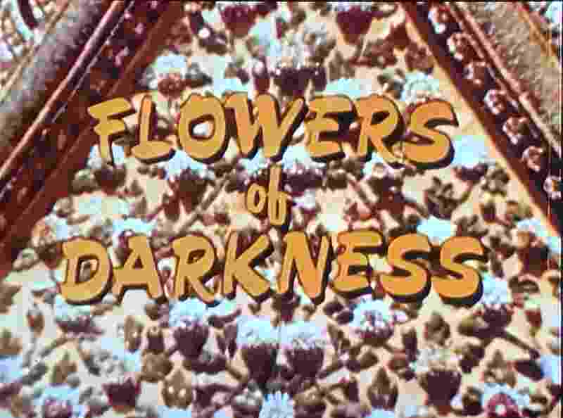 Flowers of Darkness (1972) Screenshot 3