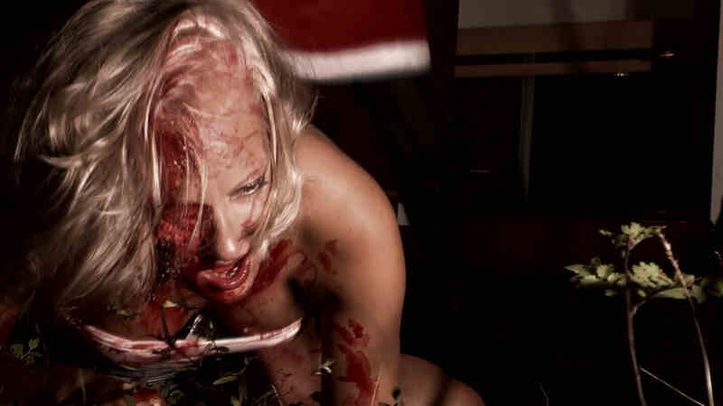 Wolf Cabin (2010) Screenshot 1