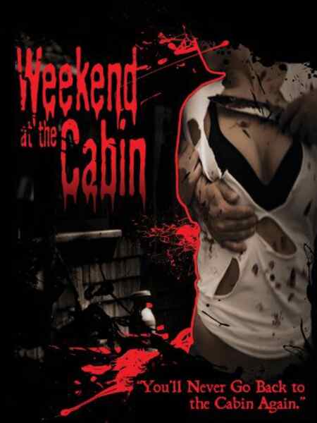 Weekend at the Cabin (2011) Screenshot 2