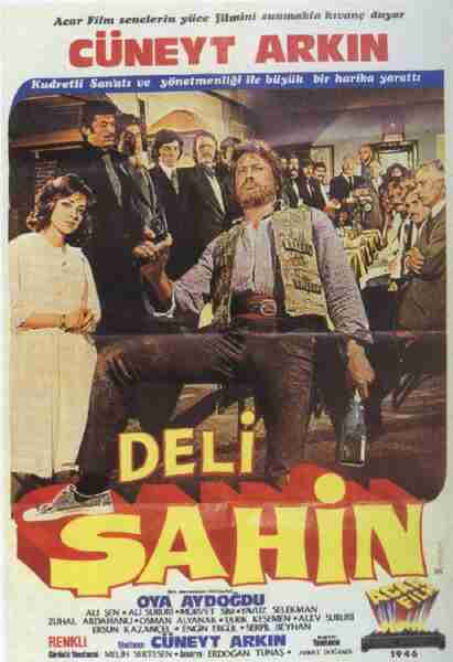 Deli Sahin (1976) Screenshot 1