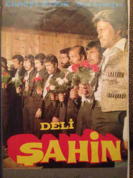 Deli Sahin (1976) Screenshot 2
