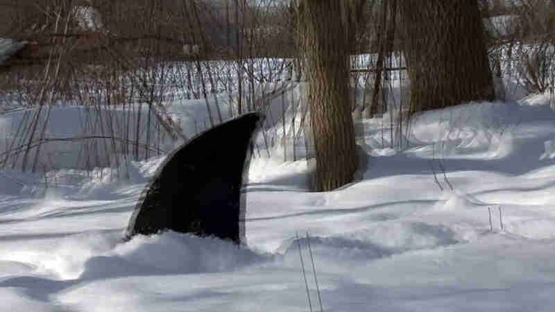 Snow Shark: Ancient Snow Beast (2011) Screenshot 2