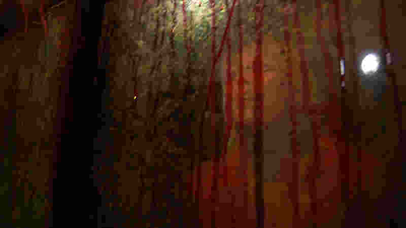 Hollow (2011) Screenshot 2