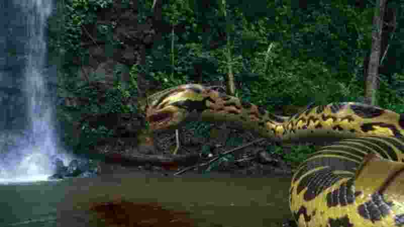 Piranhaconda (2012) Screenshot 1