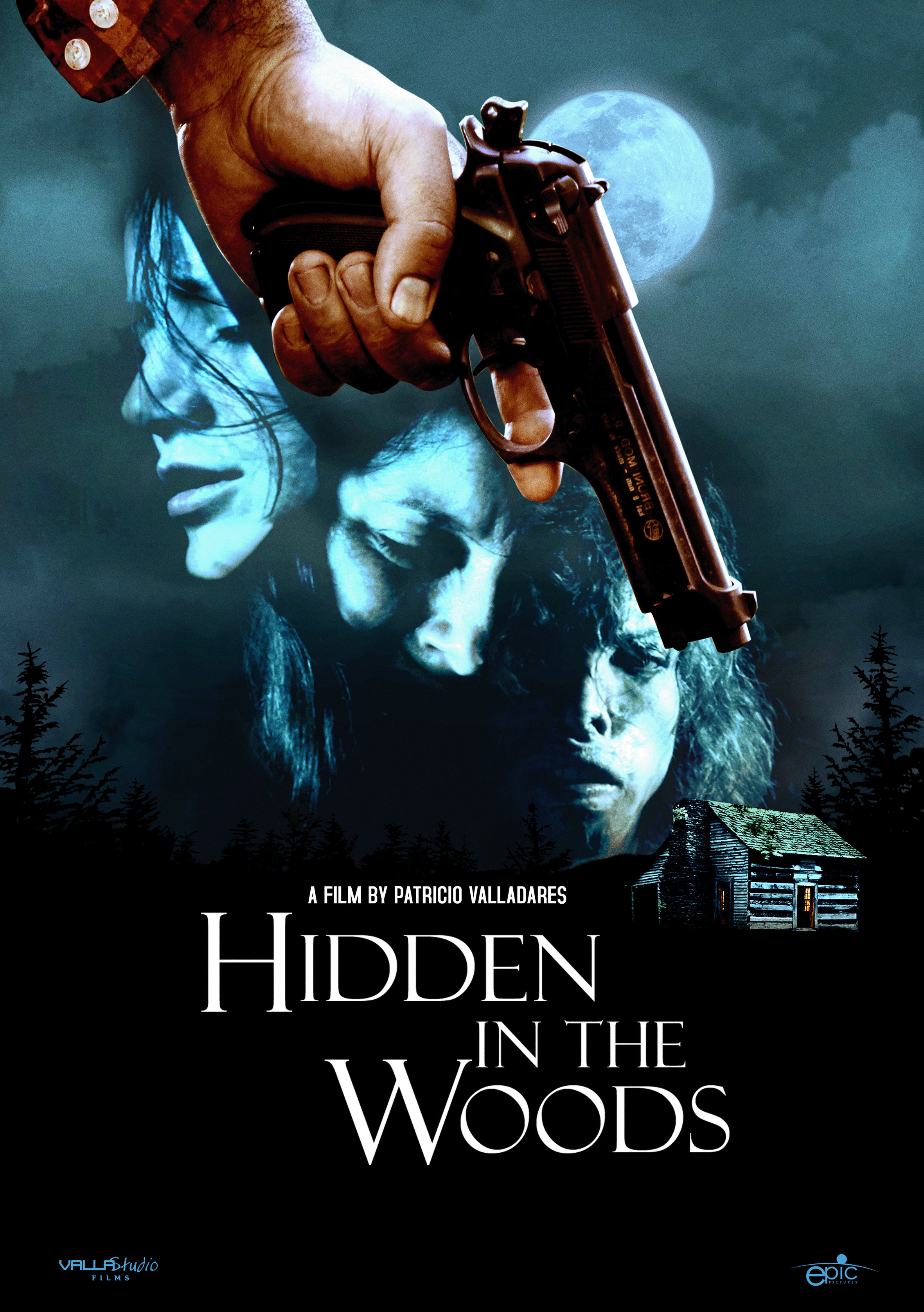Hidden in the Woods (2012) with English Subtitles on DVD on DVD