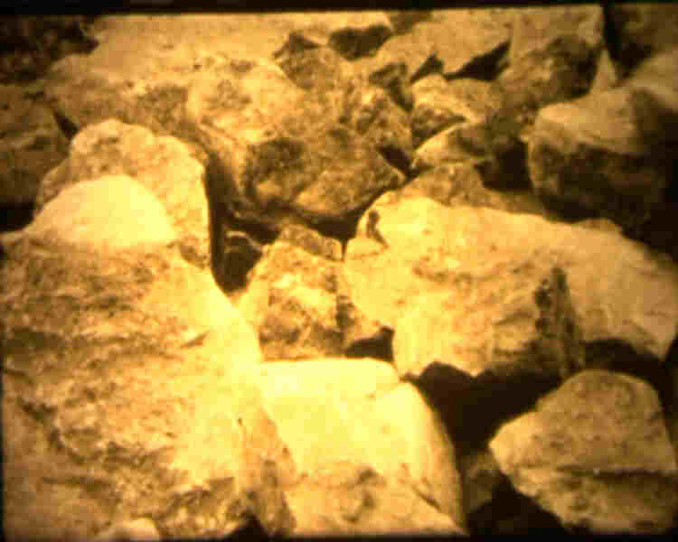 The Poorhouse Revisited (2011) Screenshot 4