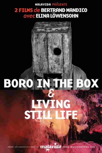 Boro in the Box (2011) Screenshot 4