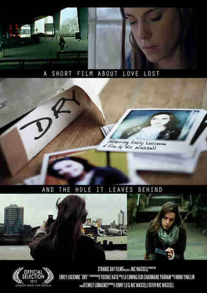 Dry (2012) Screenshot 1