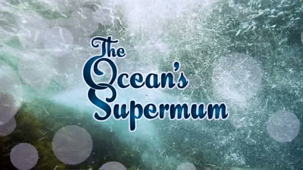 The Ocean's Supermum (2009) Screenshot 2 