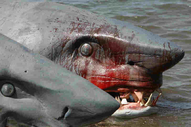 2-Headed Shark Attack (2012) Screenshot 2