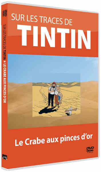 In the Footsteps of Tintin (2010) Screenshot 3