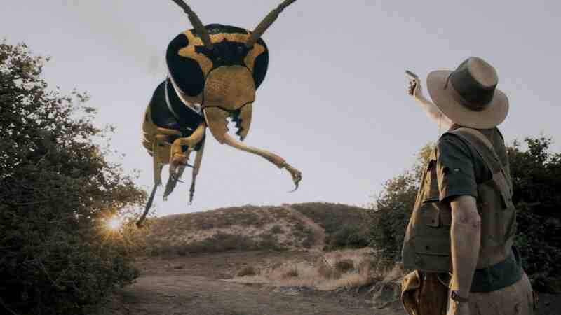 Big Bad Bugs (2012) Screenshot 2
