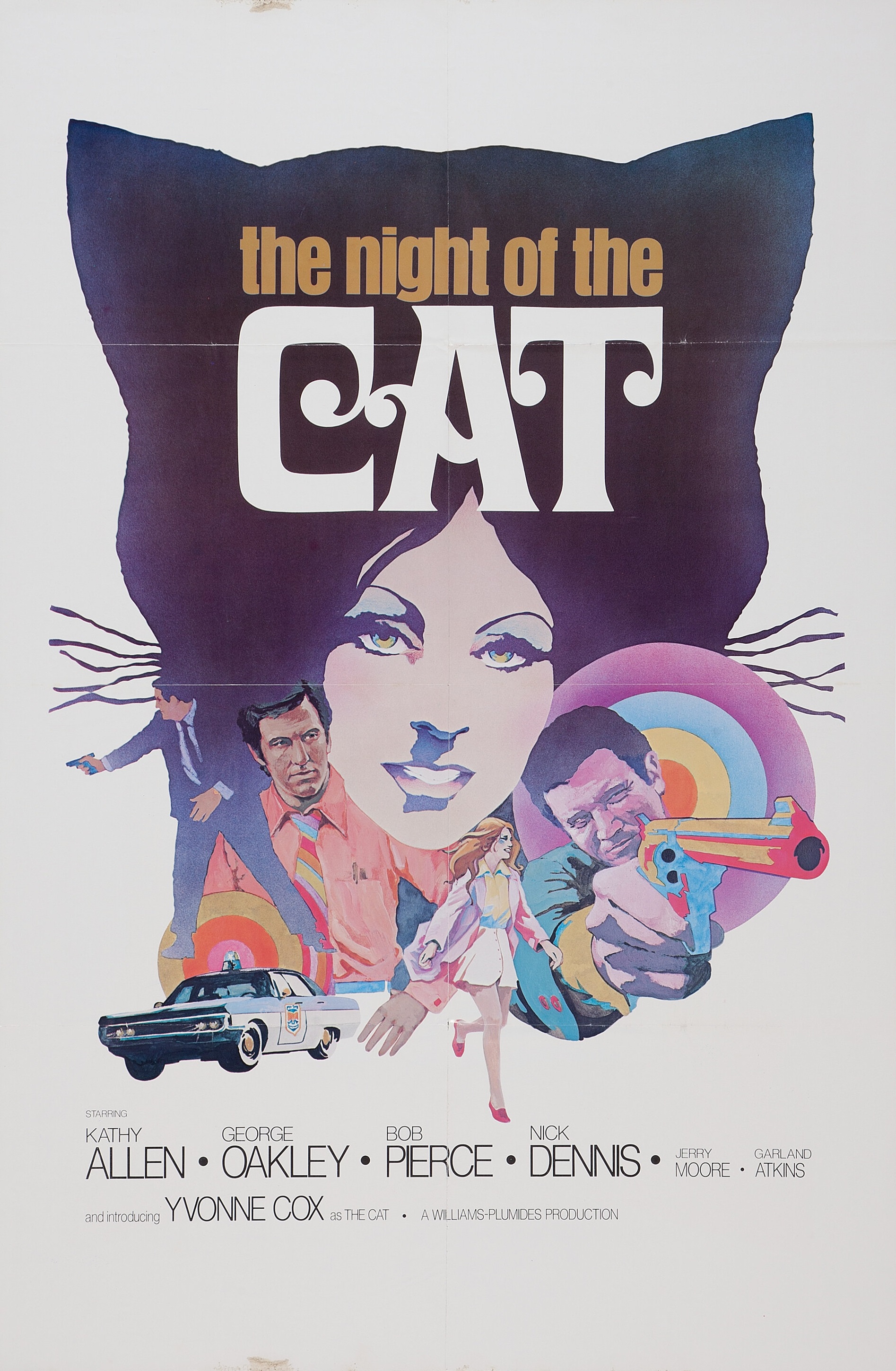 The Night of the Cat (1973) starring Kathy Allen on DVD on DVD