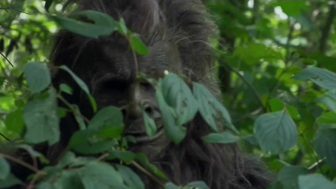 Sweet Prudence and the Erotic Adventure of Bigfoot (2011) Screenshot 2 