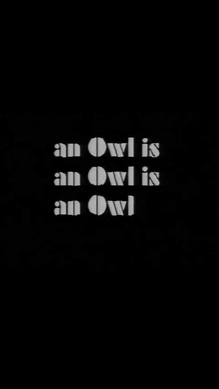 An Owl Is an Owl Is an Owl (1990) Screenshot 1