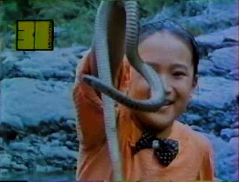 King of Snakes (1984) Screenshot 1