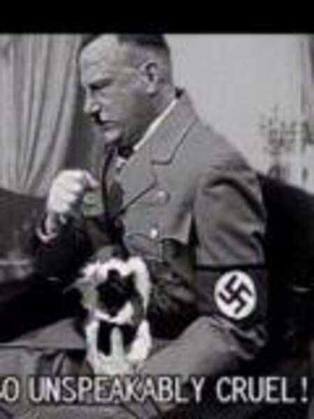 Ein Kitten für Hitler (2007) Screenshot 2
