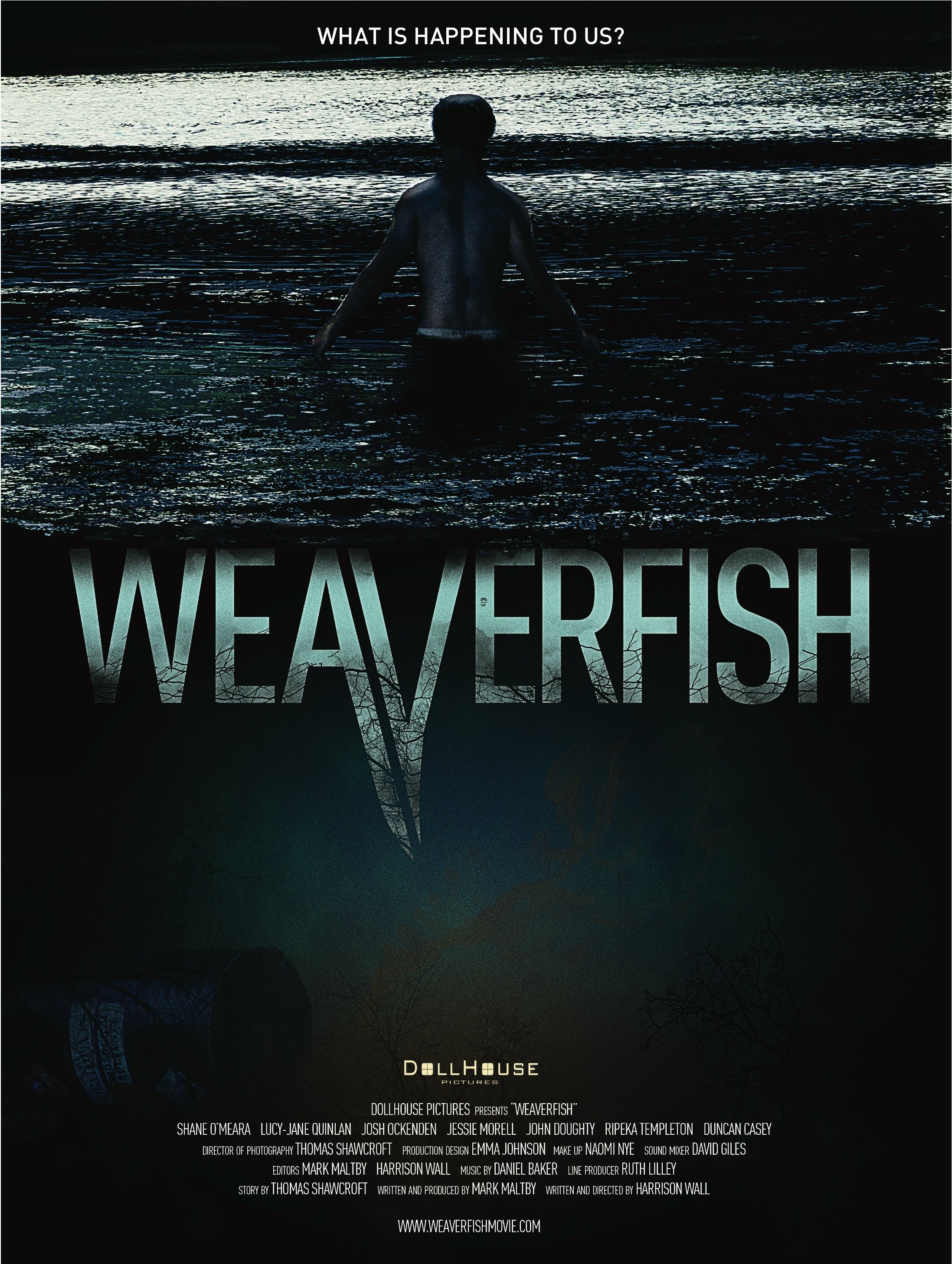 Weaverfish (2013) Screenshot 1