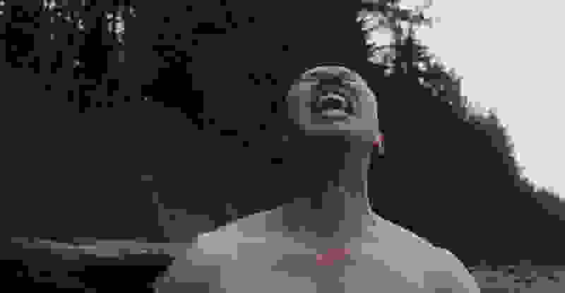 Dark Cove (2016) Screenshot 1