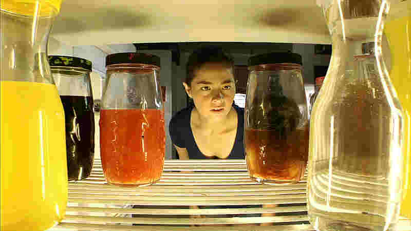 Fridge (2012) Screenshot 4