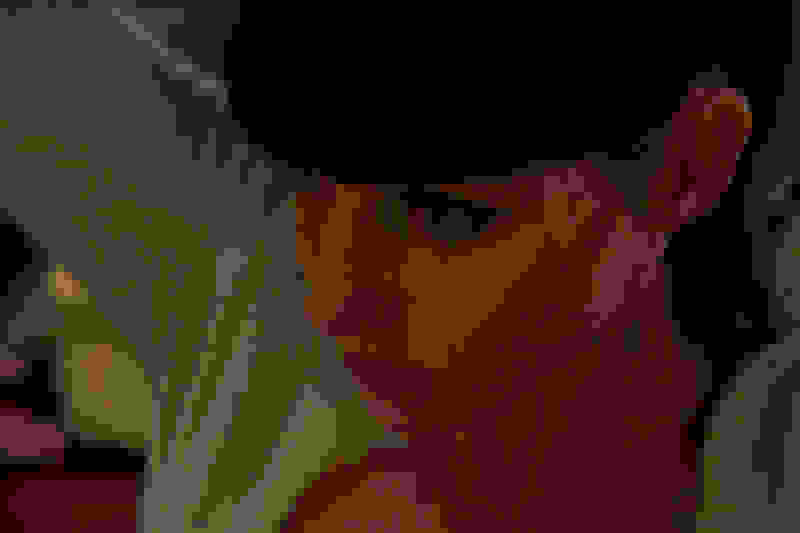 Viola (2012) Screenshot 1