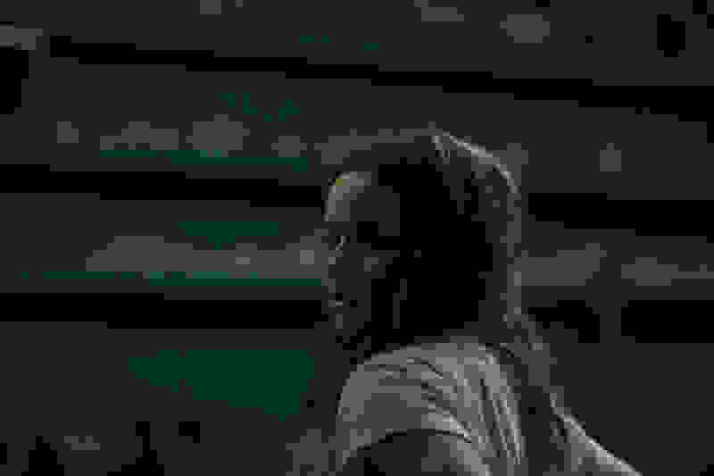 Jamie Marks Is Dead (2014) Screenshot 3