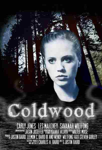 Coldwood (2012) Screenshot 1