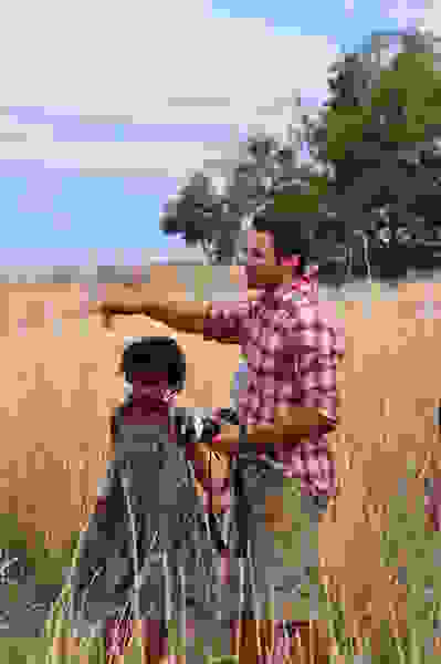 Safari (2013) Screenshot 3