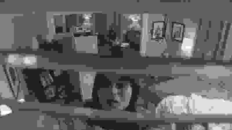 The Den (2013) Screenshot 4
