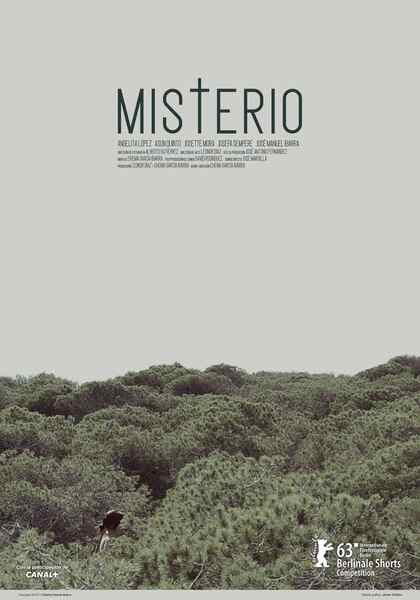 Misterio (2013) Screenshot 1