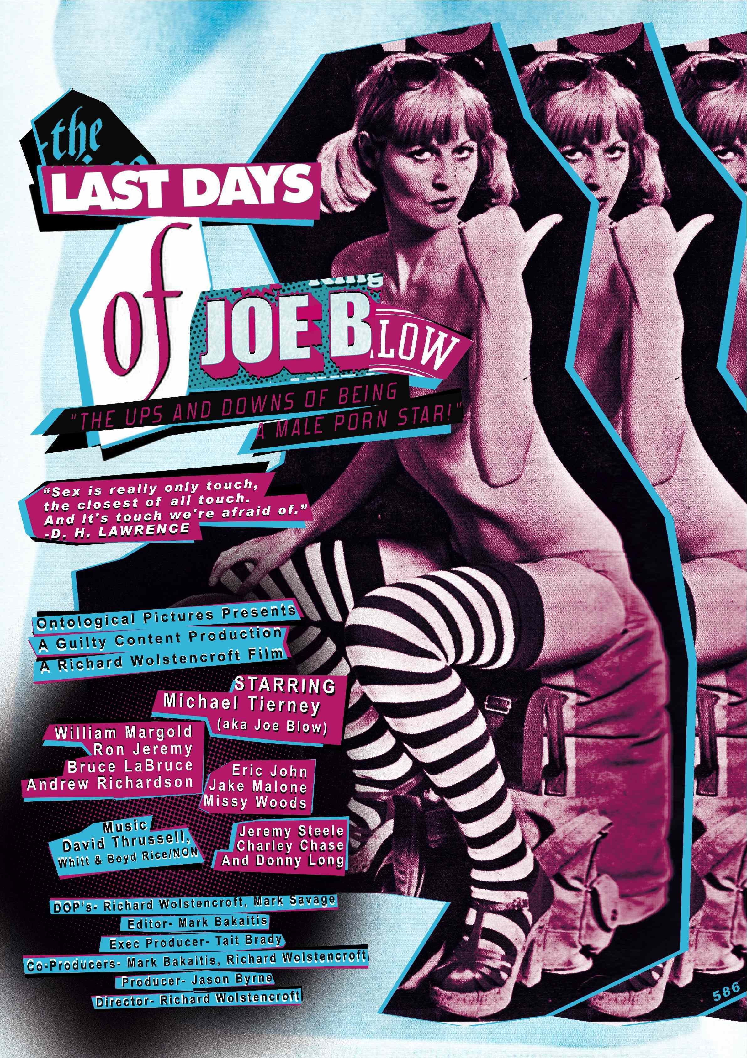 The Last Days of Joe Blow (2013) starring Michael Tierney on DVD on DVD