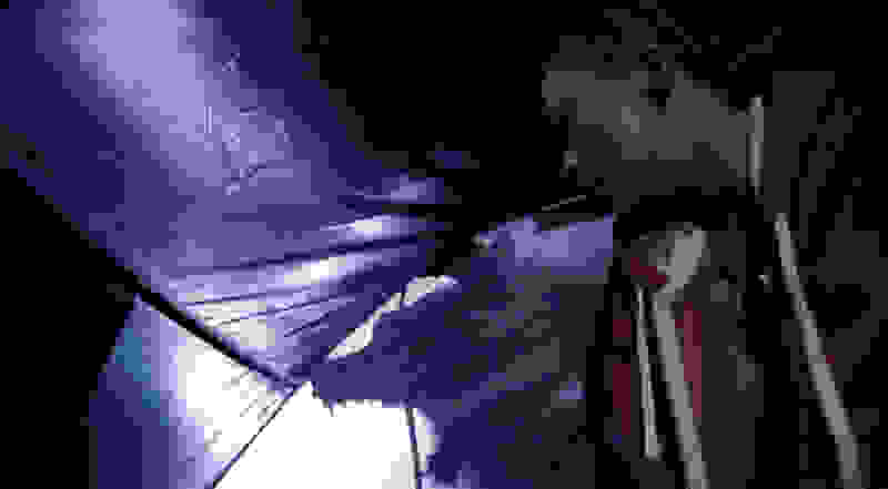 Silverhide (2015) Screenshot 4