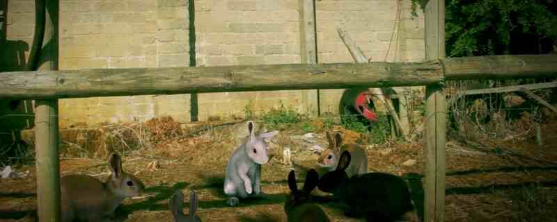 Cute Little Buggers (2017) Screenshot 3