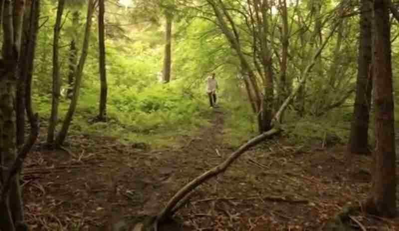 Fog Island (2012) Screenshot 3