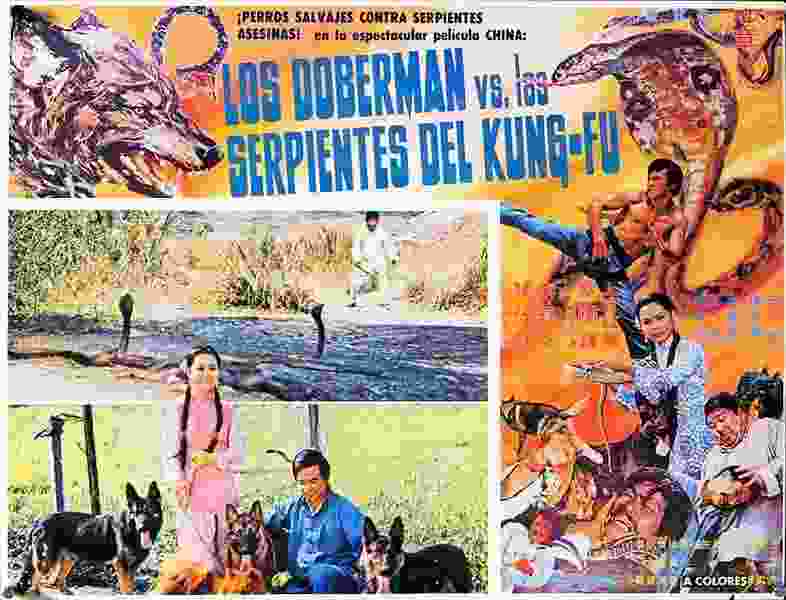 She quan da ying xiong (1974) Screenshot 1