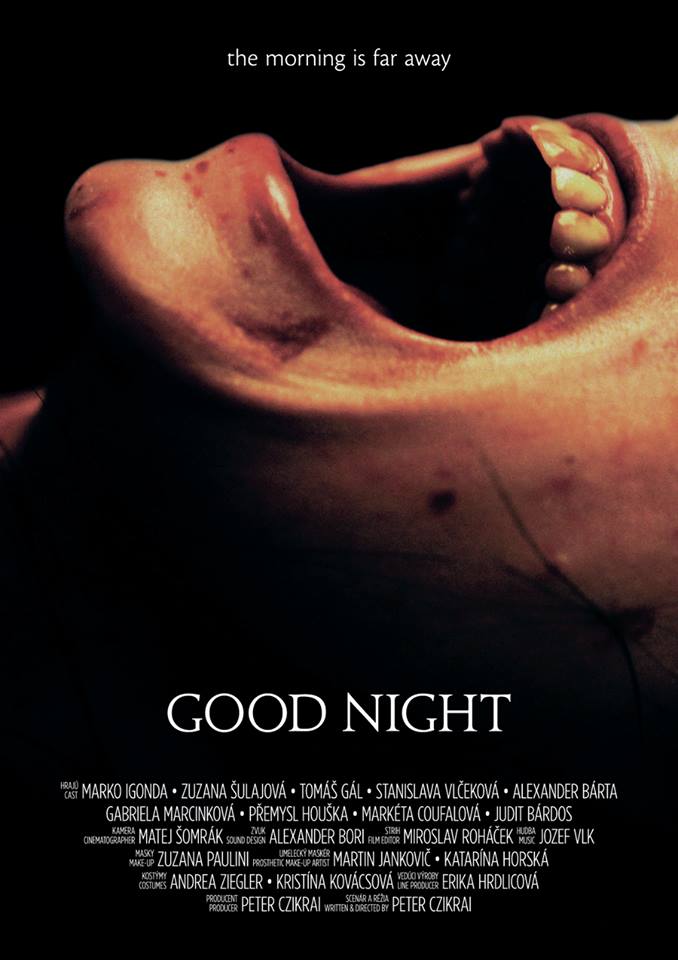 Good Night (2013) Screenshot 1