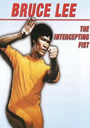 Bruce Lee: The Intercepting Fist (1999) Screenshot 3