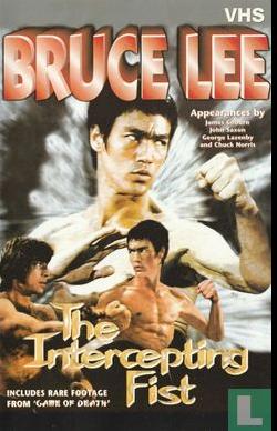 Bruce Lee: The Intercepting Fist (1999) Screenshot 5