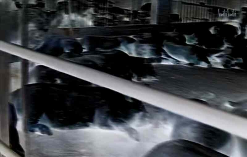 The Untold Story: The Lost World (2002) Screenshot 5