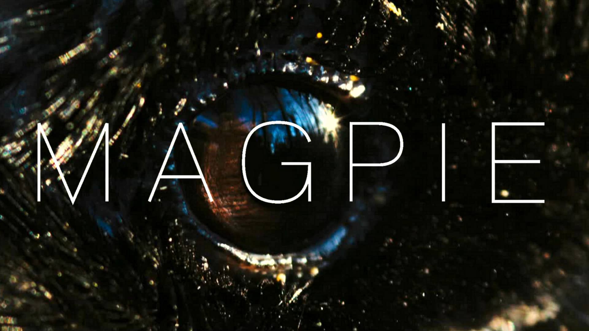 Magpie (2014) starring Martin McCann on DVD on DVD