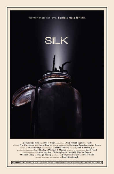 Silk (2014) Screenshot 1