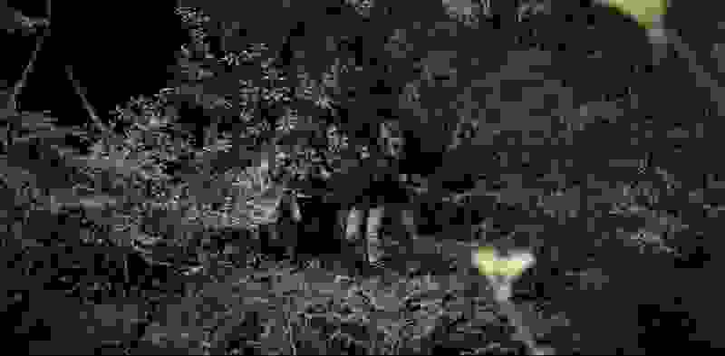 Quarries (2016) Screenshot 3
