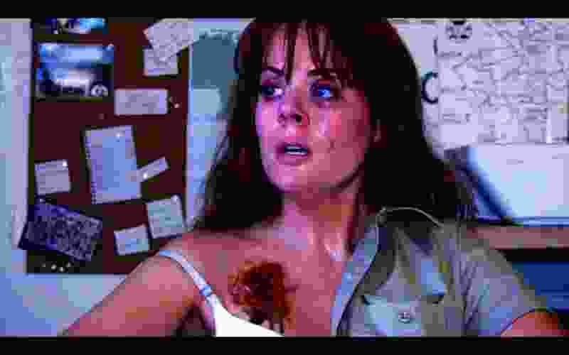 The Encounter (2015) Screenshot 3