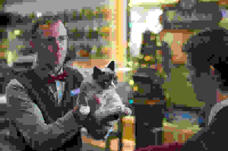 Grumpy Cat's Worst Christmas Ever (2014) Screenshot 1