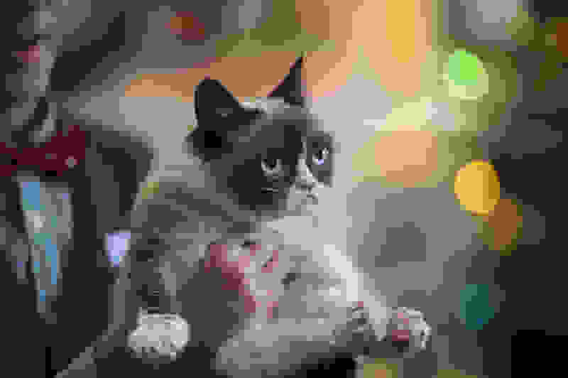 Grumpy Cat's Worst Christmas Ever (2014) Screenshot 2